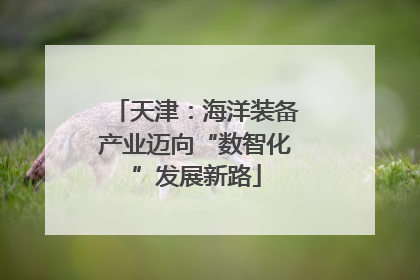 天津：海洋装备产业迈向“数智化”发展新路