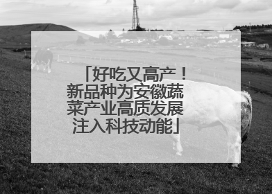 好吃又高产！新品种为安徽蔬菜产业高质发展注入科技动能