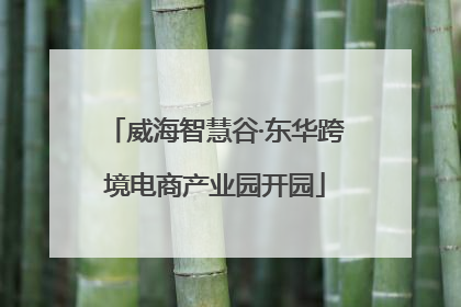 威海智慧谷·东华跨境电商产业园开园