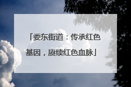 娄东街道：传承红色基因，赓续红色血脉