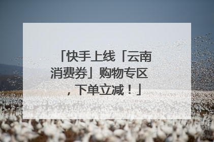 快手上线「云南消费券」购物专区，下单立减！