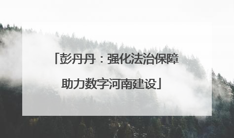 彭丹丹：强化法治保障 助力数字河南建设