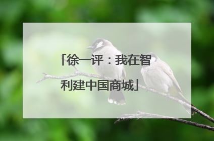 徐一评：我在智利建中国商城