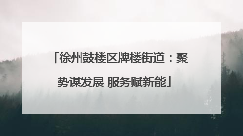 徐州鼓楼区牌楼街道：聚势谋发展 服务赋新能