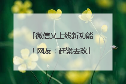 微信又上线新功能！网友：赶紧去改