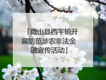 微山县西平镇开展防范涉农非法金融宣传活动