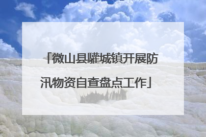 微山县驩城镇开展防汛物资自查盘点工作