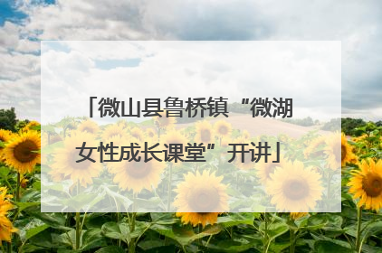 微山县鲁桥镇“微湖女性成长课堂”开讲