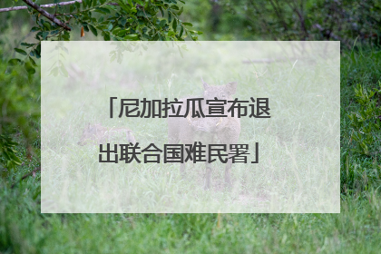 尼加拉瓜宣布退出联合国难民署