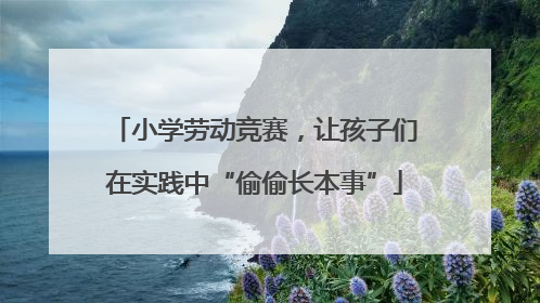 小学劳动竞赛，让孩子们在实践中“偷偷长本事”