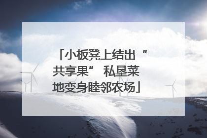 小板凳上结出“共享果” 私垦菜地变身睦邻农场