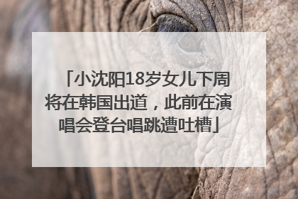 小沈阳18岁女儿下周将在韩国出道，此前在演唱会登台唱跳遭吐槽
