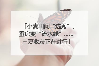 小麦田间“选秀”、蚕房变“流水线”……三夏收获正在进行