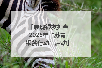 展现银发担当 2025年“苏青银龄行动”启动