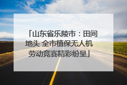 山东省乐陵市：田间地头 全市植保无人机劳动竞赛精彩纷呈