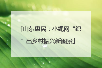 山东惠民：小绳网“织”出乡村振兴新图景