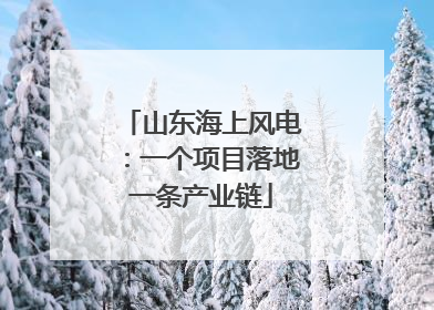 山东海上风电：一个项目落地一条产业链