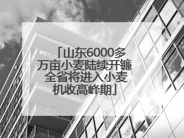 山东6000多万亩小麦陆续开镰 全省将进入小麦机收高峰期