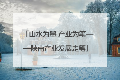 山水为墨 产业为笔——陕南产业发展走笔