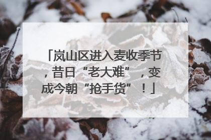 岚山区进入麦收季节，昔日“老大难”，变成今朝“抢手货”！