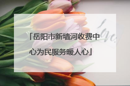 岳阳市新墙河收费中心为民服务暖人心