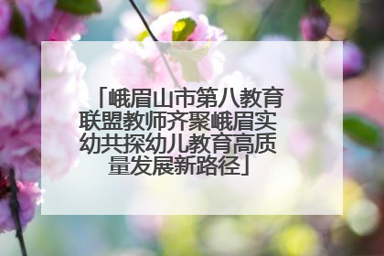 峨眉山市第八教育联盟教师齐聚峨眉实幼共探幼儿教育高质量发展新路径