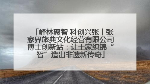峰林聚智 科创兴张丨张家界旅典文化经营有限公司博士创新站：让土家织锦“智”造出非遗新传奇
