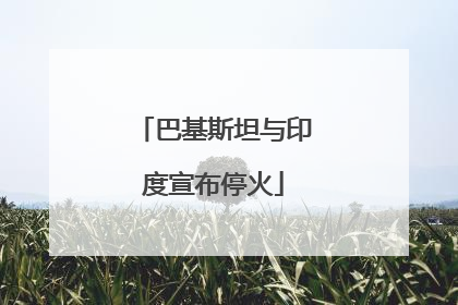 巴基斯坦与印度宣布停火