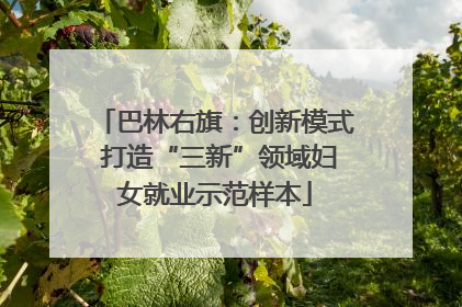 巴林右旗：创新模式 打造“三新”领域妇女就业示范样本