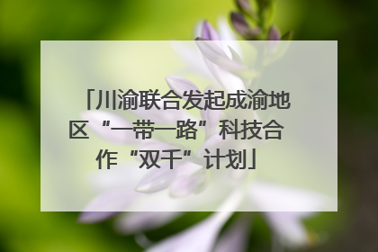 川渝联合发起成渝地区“一带一路”科技合作“双千”计划