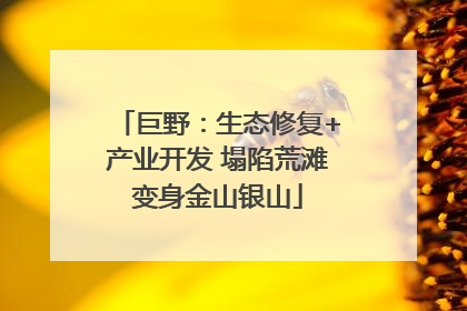 巨野：生态修复+产业开发 塌陷荒滩变身金山银山
