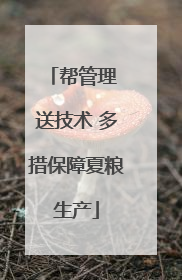 帮管理 送技术 多措保障夏粮生产