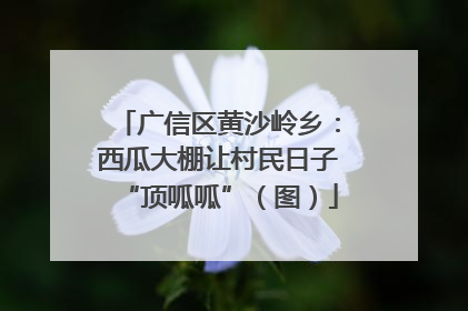 广信区黄沙岭乡：西瓜大棚让村民日子“顶呱呱”（图）