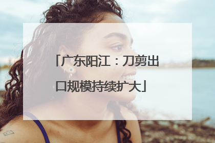 广东阳江：刀剪出口规模持续扩大