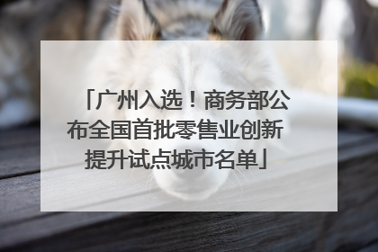 广州入选！商务部公布全国首批零售业创新提升试点城市名单