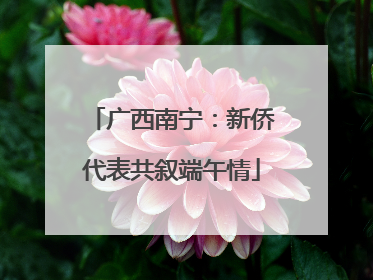 广西南宁：新侨代表共叙端午情
