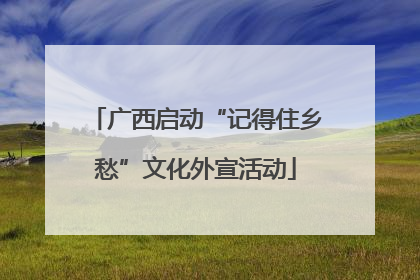 广西启动“记得住乡愁”文化外宣活动