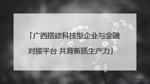 广西搭建科技型企业与金融对接平台 共育新质生产力