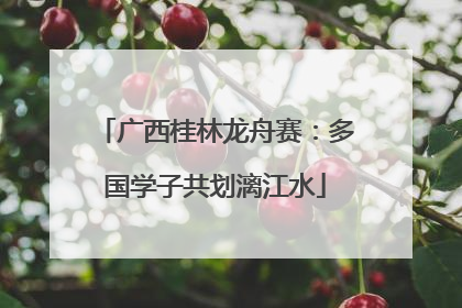 广西桂林龙舟赛：多国学子共划漓江水