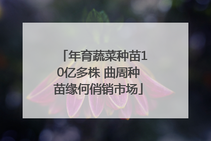 年育蔬菜种苗10亿多株 曲周种苗缘何俏销市场