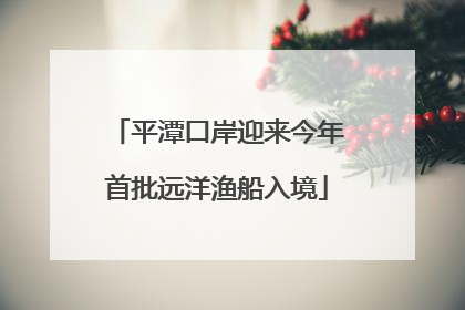 平潭口岸迎来今年首批远洋渔船入境