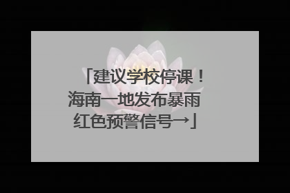 建议学校停课！海南一地发布暴雨红色预警信号→