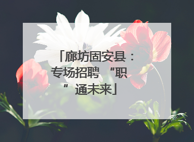 廊坊固安县：专场招聘 “职”通未来