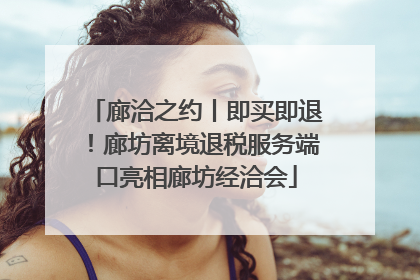 廊洽之约丨即买即退！廊坊离境退税服务端口亮相廊坊经洽会