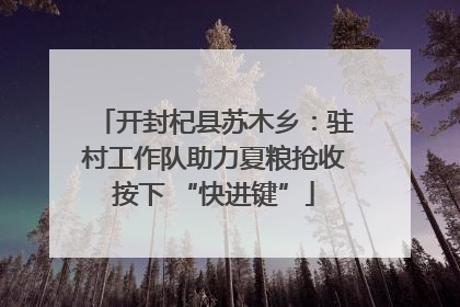 开封杞县苏木乡：驻村工作队助力夏粮抢收按下 “快进键”