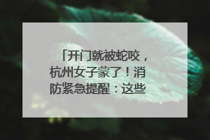 开门就被蛇咬，杭州女子蒙了！消防紧急提醒：这些方法都不靠谱！