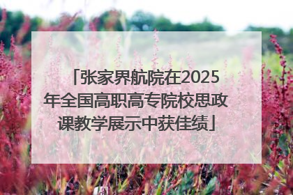 张家界航院在2025年全国高职高专院校思政课教学展示中获佳绩
