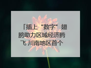 插上“数字”翅膀助力区域经济腾飞 川南地区首个智算中心启动