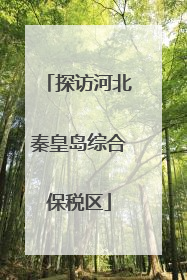 探访河北秦皇岛综合保税区