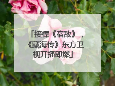 接棒《宿敌》，《藏海传》东方卫视开播即燃